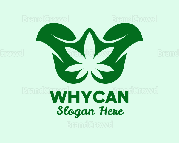 Organic Cannabis Leaf Logo