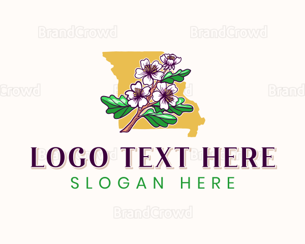 Missouri Blossom Flower Logo