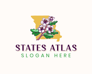 Missouri Blossom Flower logo design