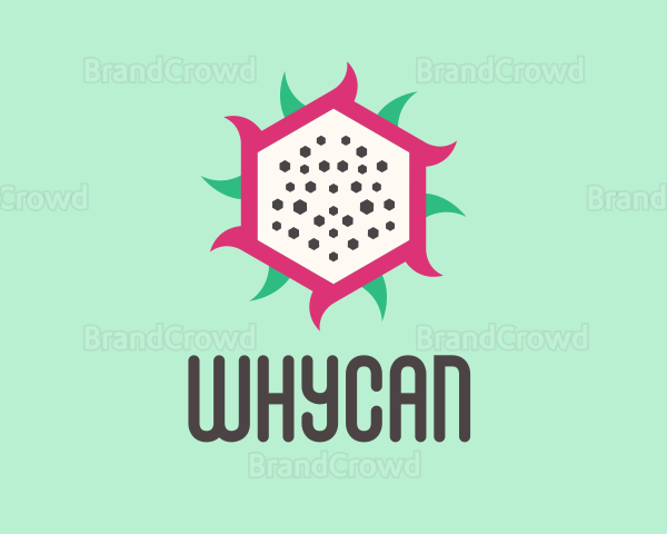 Hexagon Dragon Fruit Slice Logo