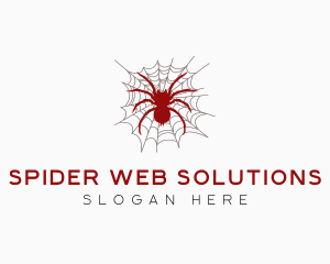 Tarantula Spider Cobweb logo design