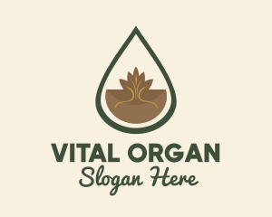 Organic Leaf Oil Droplet logo design