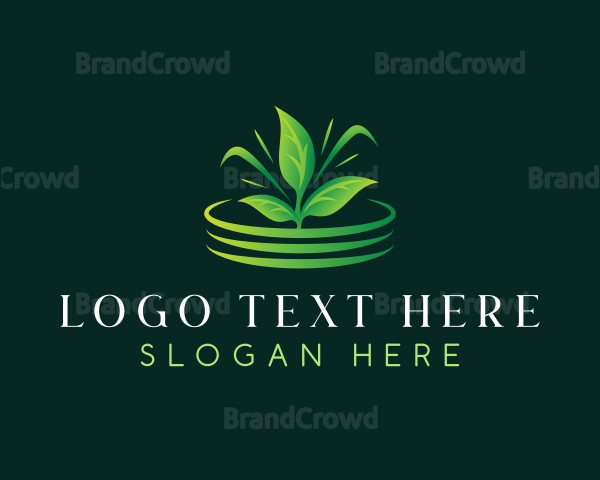 Grass Plant Landscaping Logo