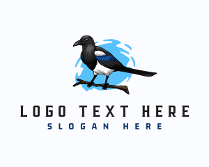 Fauna - Avian Magpie Bird logo design