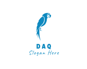 Blue Swan - Blue Parrot Bird logo design