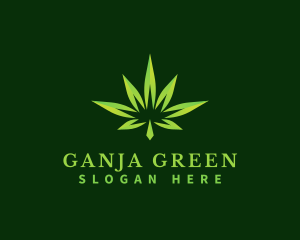 Cannabis Leaf Hemp logo design