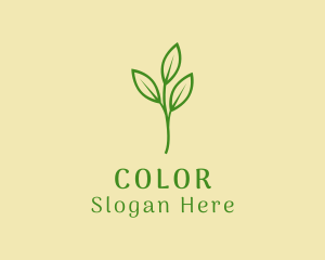 Green Seedling Plant Logo