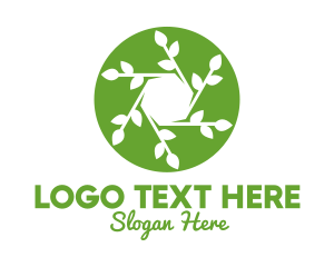 Cameraman - Hexagon Leaf Plant logo design