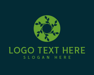 Videography - Hexagon Leaf Plant logo design