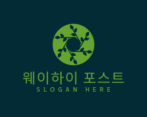 Hexagon Leaf Plant logo design