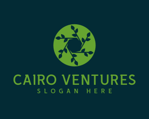 Hexagon Leaf Plant logo design