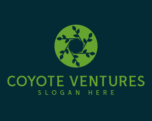 Hexagon Leaf Plant logo design