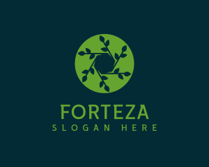 Hexagon Leaf Plant logo design