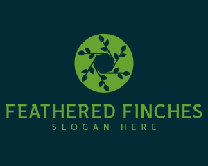 Hexagon Leaf Plant logo design