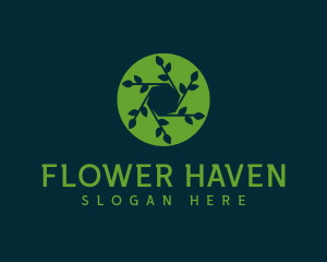 Hexagon Leaf Plant logo design