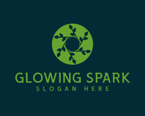 Hexagon Leaf Plant logo design