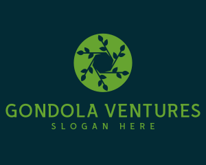 Hexagon Leaf Plant logo design