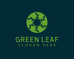 Leaf - Hexagon Leaf Plant logo design