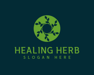 Hexagon Leaf Plant logo design