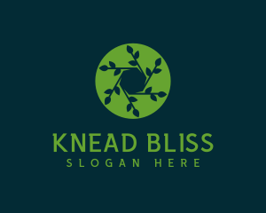 Hexagon Leaf Plant logo design