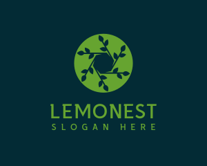 Hexagon Leaf Plant logo design