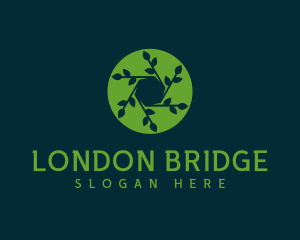 Hexagon Leaf Plant logo design