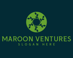 Hexagon Leaf Plant logo design