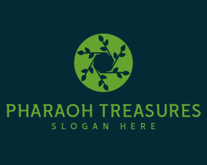 Hexagon Leaf Plant logo design