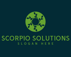 Hexagon Leaf Plant logo design