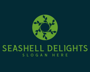 Hexagon Leaf Plant logo design