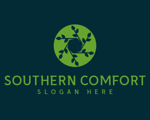 Hexagon Leaf Plant logo design