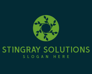 Hexagon Leaf Plant logo design