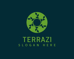 Hexagon Leaf Plant logo design