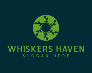 Hexagon Leaf Plant logo design