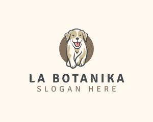 Dog Puppy Pet Logo