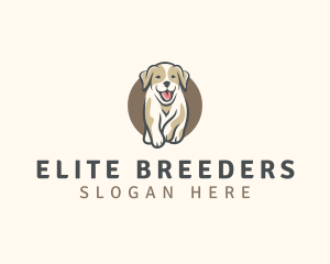 Dog Puppy Pet logo design