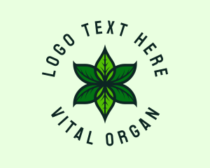 Green Organic Leaf  logo design