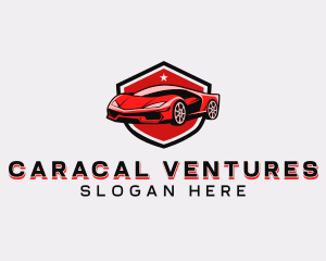 Sports Car Detailing logo design