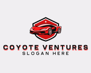 Sports Car Detailing logo design