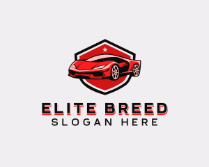 Sports Car Detailing logo design