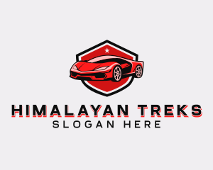 Sports Car Detailing logo design