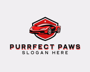 Sports Car Detailing logo design