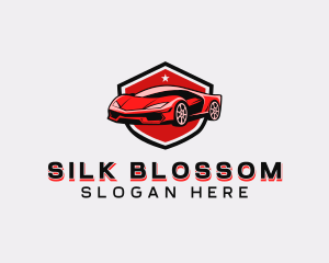 Sports Car Detailing logo design