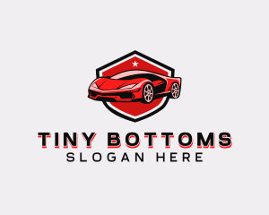 Sports Car Detailing logo design