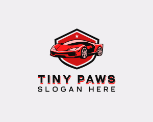 Sports Car Detailing logo design