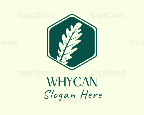 Hexagon Fern Leaf Logo