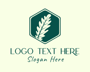 Bio - Hexagon Fern Leaf logo design