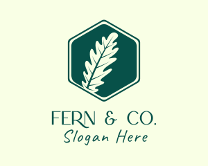 Fern - Hexagon Fern Leaf logo design