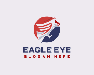 Eagle Air Force USA logo design