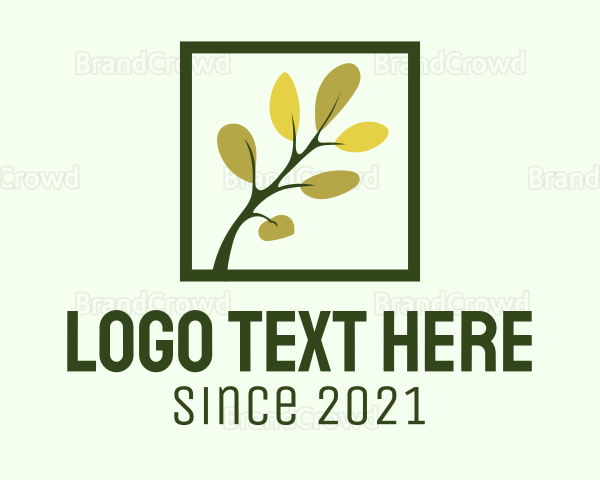 Tree Branch Frame Logo